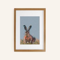 Laura Ashley Hare Print in a Wood Frame