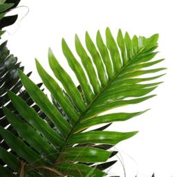 LIFE IDEAS Artificial Fern Plant for Garden/Office - thumbnail 4