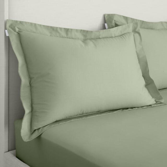 Bianca 200 TC Cotton Percale Oxford Pillowcase Pair - image 1