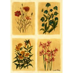 Laura Ashley Antique Flowers Print in a Black Frame - thumbnail 3