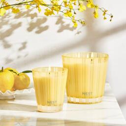 NEST New York Scented Candle - 230ml - thumbnail 4