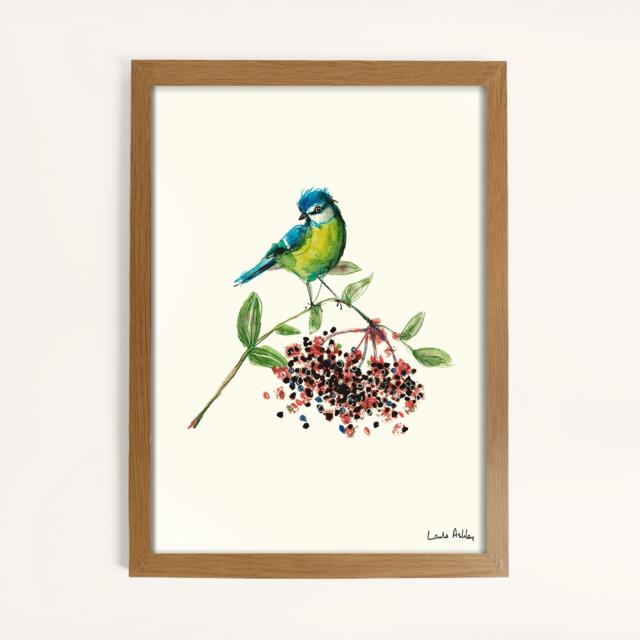 Laura Ashley Blue Tit Bird Print in a Wood Frame - image 1