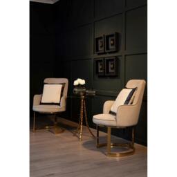 Interiors by Premier Eliza Beige Velvet Dining Chair