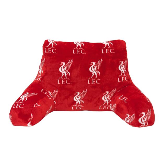 Liverpool FC Liverpool FC Target Cuddle Cushion - image 1