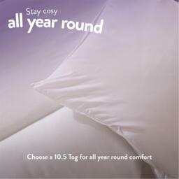 Slumberdown Cosy Nights 10.5 Tog Duvet + 2 Pillows - thumbnail 3