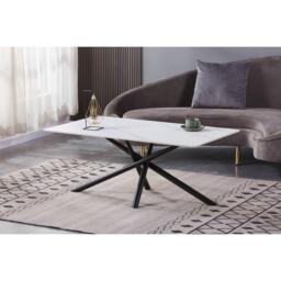 Shankar Azura Coffee Table