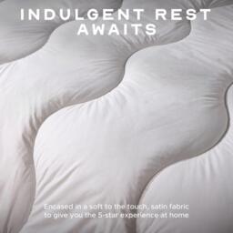Snuggledown Indulgent Cotton 10.5 Tog Duvet + 2 Soft Pillows - thumbnail 5