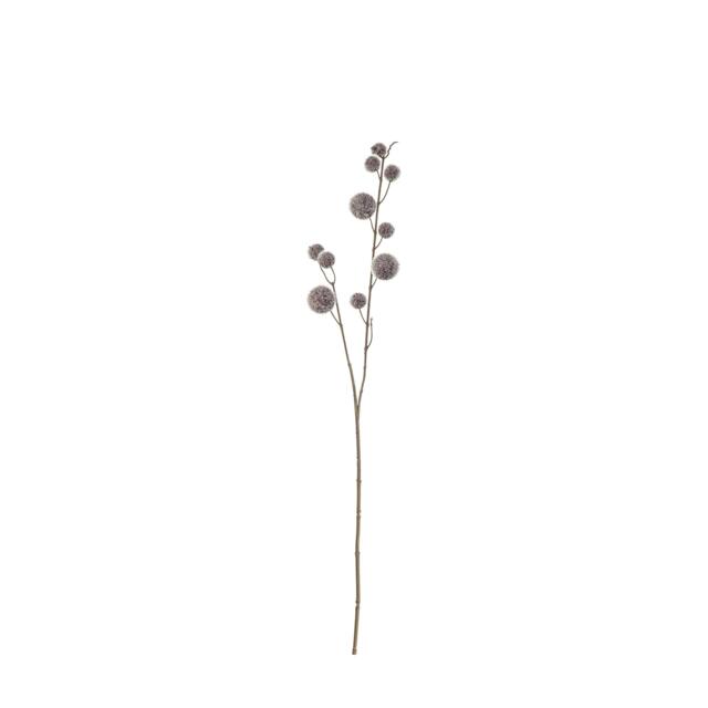 Gallery Gallery Pom Spry 6pk 99