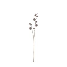 Gallery Gallery Pom Spry 6pk 99
