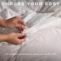 Snuggledown Goose Feather & Down 9 + 4.5 Tog Duvet + 2 Pillows - thumbnail 3