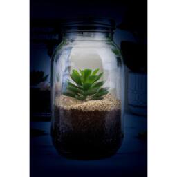 Gift Republic Light Up Terrarium - thumbnail 2