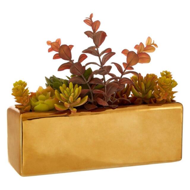 Fiori Mixed Succulents Fiori with Ceramic Gold Pot - image 1