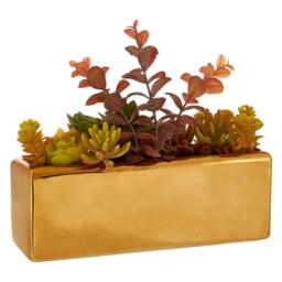 Fiori Mixed Succulents Fiori with Ceramic Gold Pot