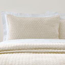 Bianca Attica Velvet Embroidered Pillow sham Pair - thumbnail 1