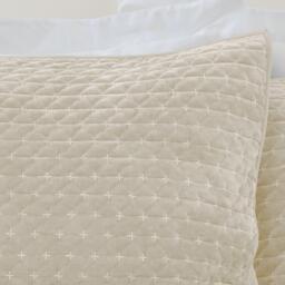 Bianca Attica Velvet Embroidered Pillow sham Pair - thumbnail 2