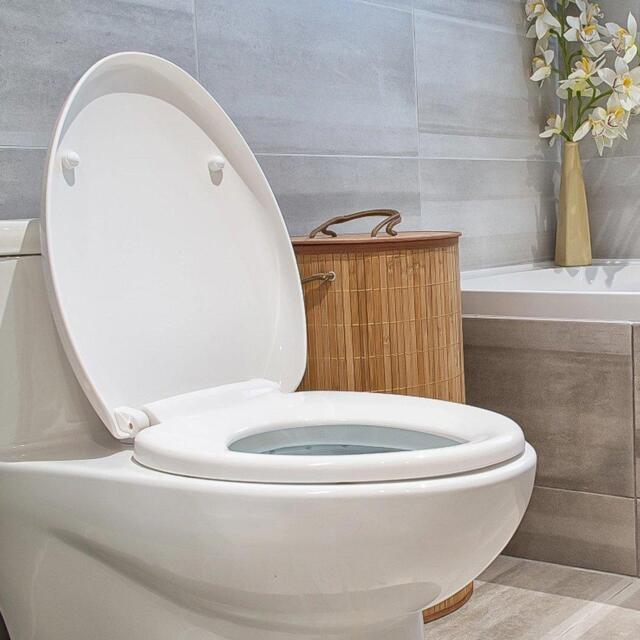 LIFE IDEAS O-Shape Soft-Close Toilet Seat - image 1