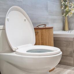 LIFE IDEAS O-Shape Soft-Close Toilet Seat