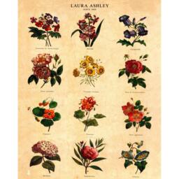 Laura Ashley Botanical Flowers Print in a Black Frame - thumbnail 3