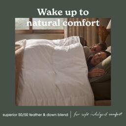 Sleepeezee Natural Feather and Down 10.5 Tog Duvet - thumbnail 7