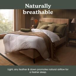 Sleepeezee Natural Feather and Down 10.5 Tog Duvet - thumbnail 4