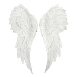 Something Different Pair of Large Glitter Angel Wings - thumbnail 2