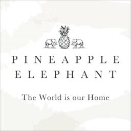 Pineapple Elephant Tufted Stripes Cotton Cushion Terracotta - thumbnail 6