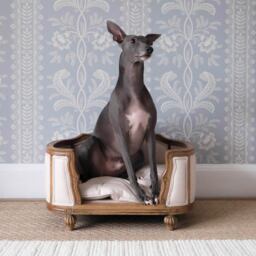 Ma Petite Love Story Pet Bed - thumbnail 4
