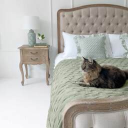 The Luxuriator Bedspread in Sage Green Velvet - thumbnail 5