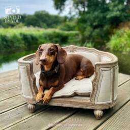 Ma Petite Douceur Pet Bed - thumbnail 3