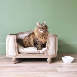 Ma Petite Douceur Pet Bed - thumbnail 5