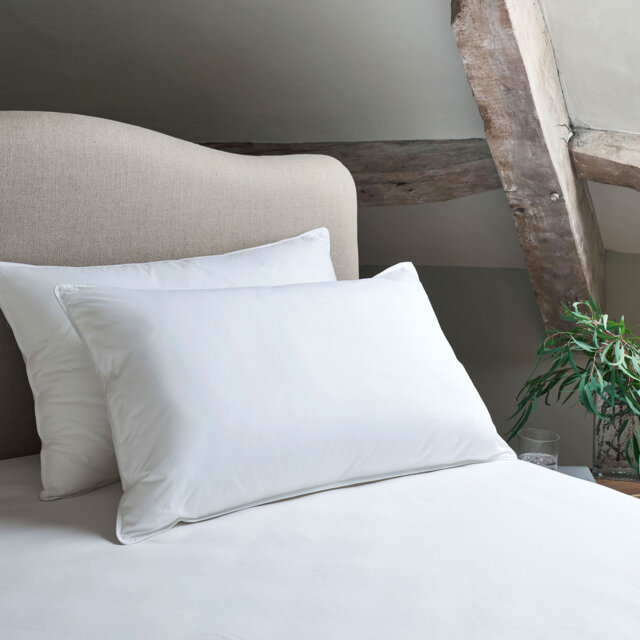 Pair of European Feather and Down Pillows