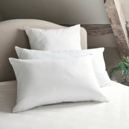 Pair of European Feather and Down Pillows - thumbnail 5
