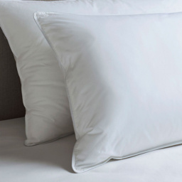 Pair of European Feather and Down Pillows - thumbnail 2