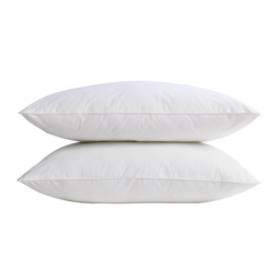 Pair of European Feather and Down Pillows - thumbnail 3