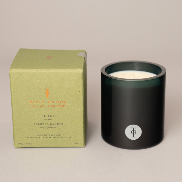Fields Scented Aromatherapy Candle, by True Grace - image 1