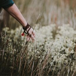 Fields Scented Aromatherapy Candle, by True Grace - thumbnail 3
