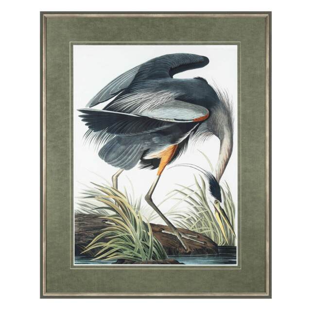 Vintage Blue Heron Wall Art, by John James Audubon - image 1