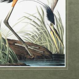 Vintage Blue Heron Wall Art, by John James Audubon - thumbnail 5