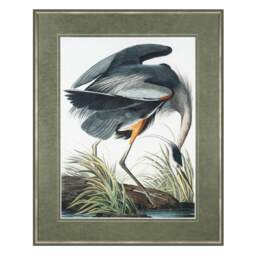 Vintage Blue Heron Wall Art, by John James Audubon - thumbnail 1