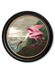 c.1838 Audubon's Birds of America in Round Frames - 120 x 120cm / Oxford Round / Collection of 3 - thumbnail 4