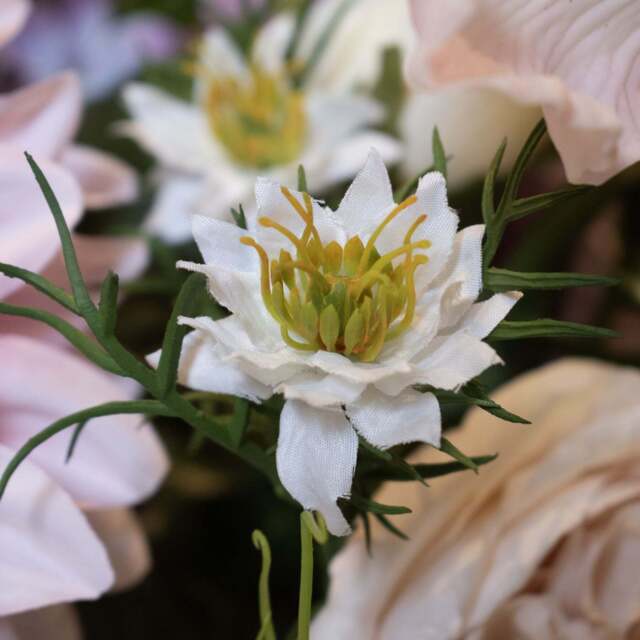 The Natural Garden Collection White Nigella Love In A Mist - image 1