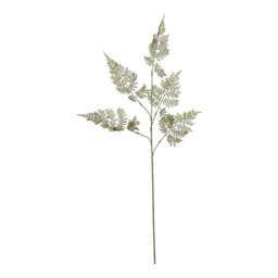 The Natural Garden Collection Large Bracken Fern Spray - thumbnail 2