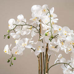 110Cm Real Touch Phalaenopsis Orchid In Pot - thumbnail 2