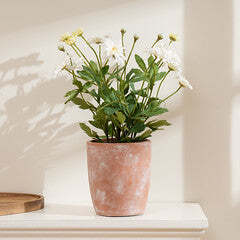 35Cm Classic Daisy In Terracotta Pot - image 1