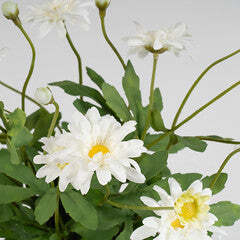 35Cm Classic Daisy In Terracotta Pot - thumbnail 2
