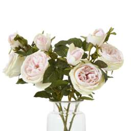 The Natural Garden Collection Pink Charity Rose - thumbnail 1