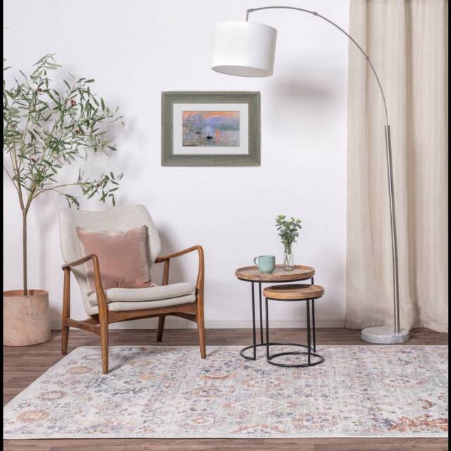 Flores 200x290cm Mina Rug FR02 Rug - image 1