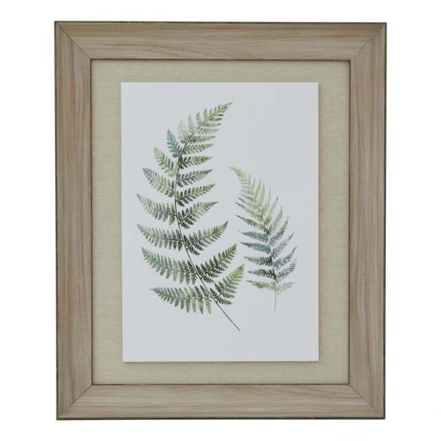 Watercolour Fern Duo In Washed Wood Frame - image 1