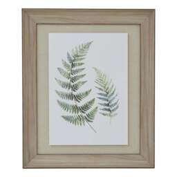 Watercolour Fern Duo In Washed Wood Frame - thumbnail 1