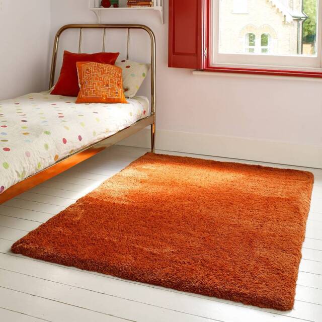Lulu Soft Touch Rug 160x230cm Spice Rug - image 1